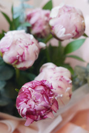 	blooming peonies seasonal bouquet moon’s flowers