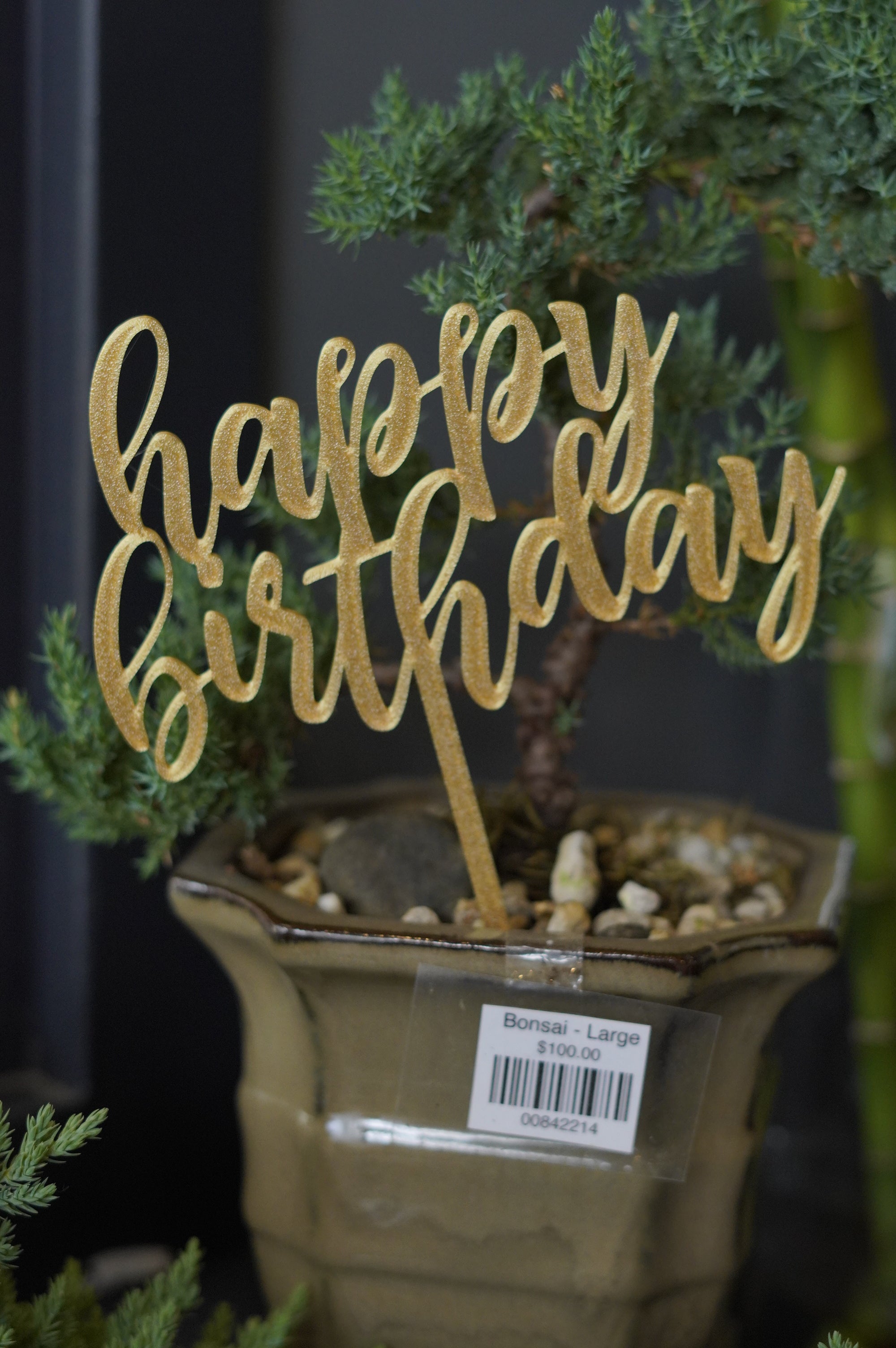  Gold "happy birthday" acrylic cake topper inserted into a bonsai plant
