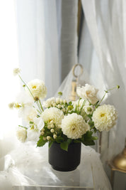 Ivory Dahlia Garden Arrangement in black ribbed vase — same-day flower delivery Toronto