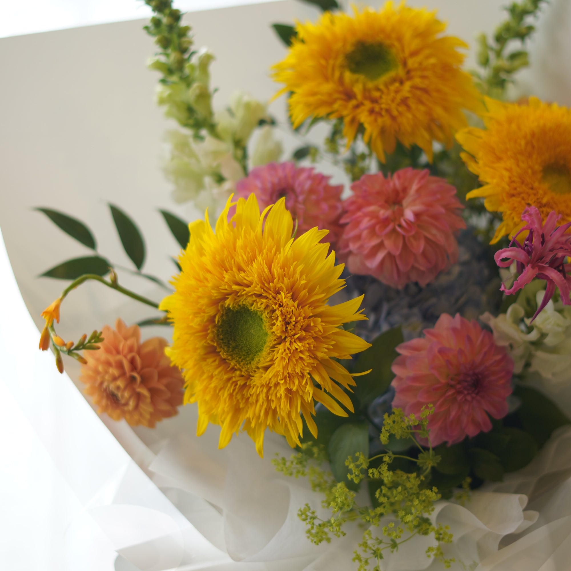 Blushing Teddy Bear Bouquet with sunflowers and pink dahlias — Same-Day Flower Delivery Toronto & GTA

