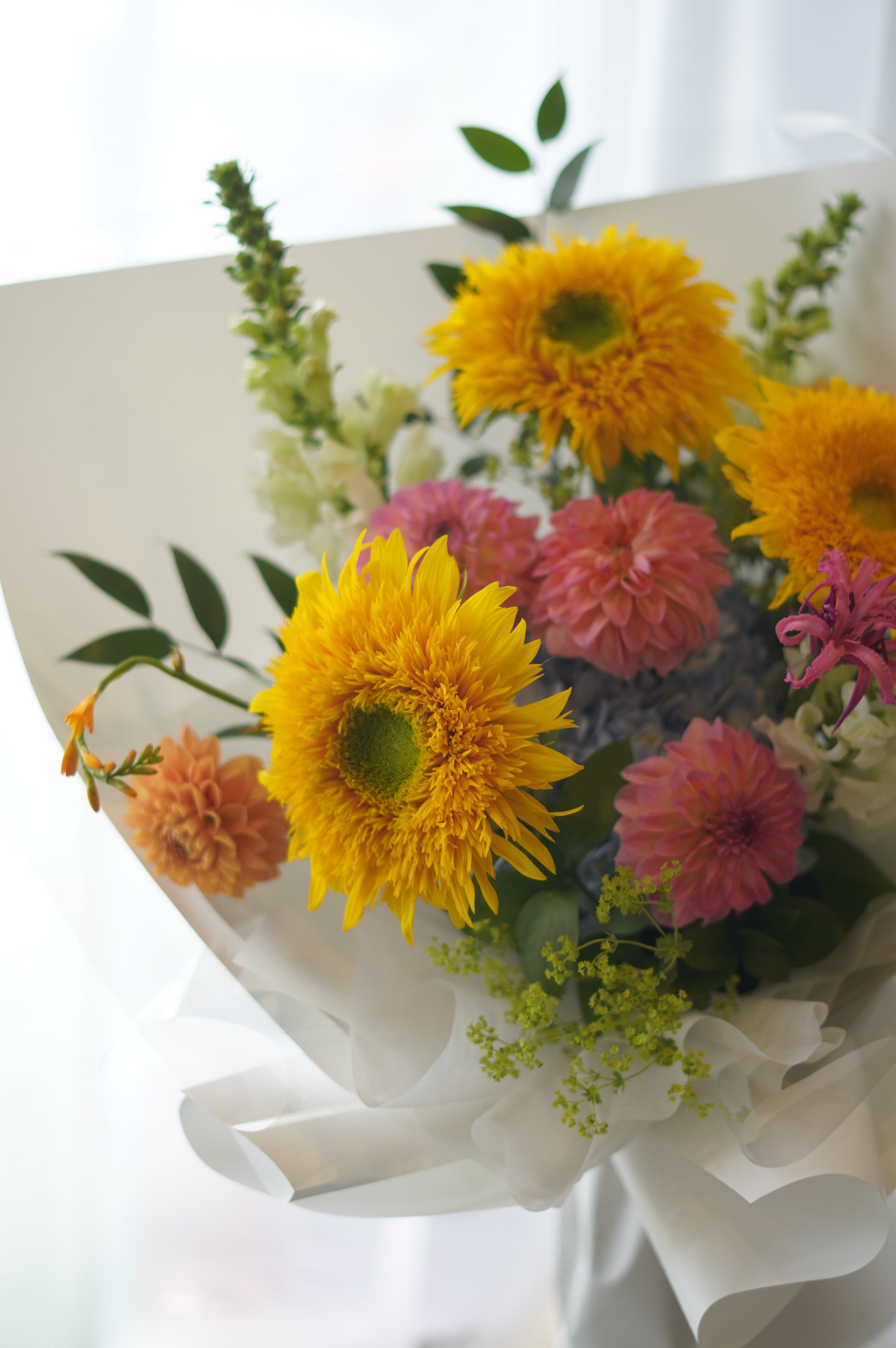 Blushing Teddy Bear Bouquet with sunflowers and pink dahlias — Same-Day Flower Delivery Toronto & GTA

