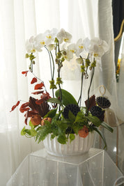 Close-up of moss-wrapped orchid stems and pomegranate accents