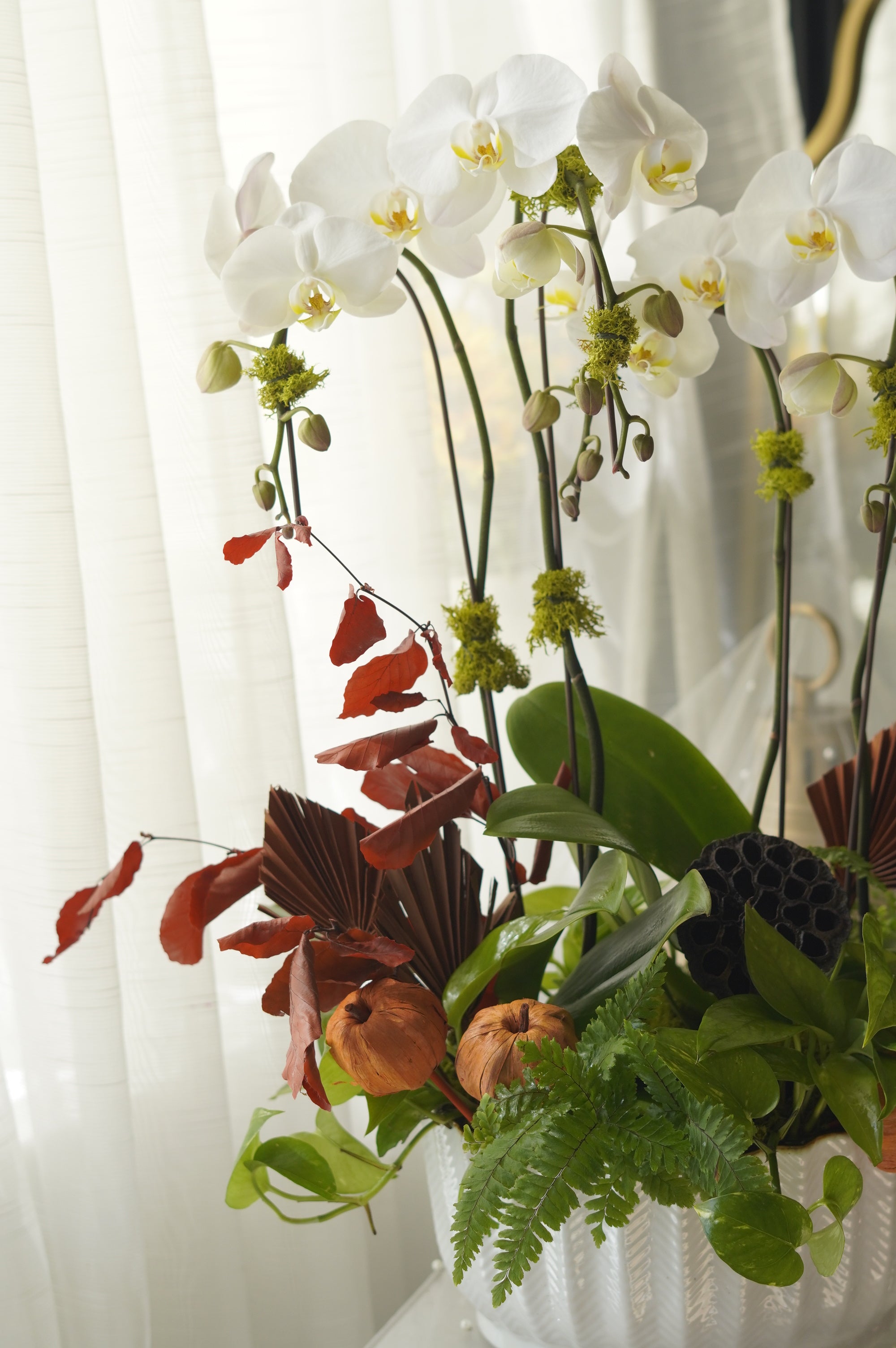 Luxury White Orchid Arrangement in ceramic planter — Toronto flower delivery