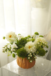 Autumn White Dahlia Arrangement in pumpkin vase — Toronto flower delivery