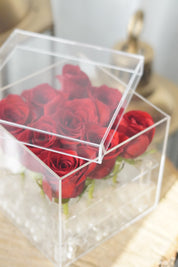red rose box with clear acrylic lid and modern display design