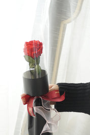 Single red preserved rose held in hand, minimalist Valentine’s Day rose gift by Moon’s Flowers