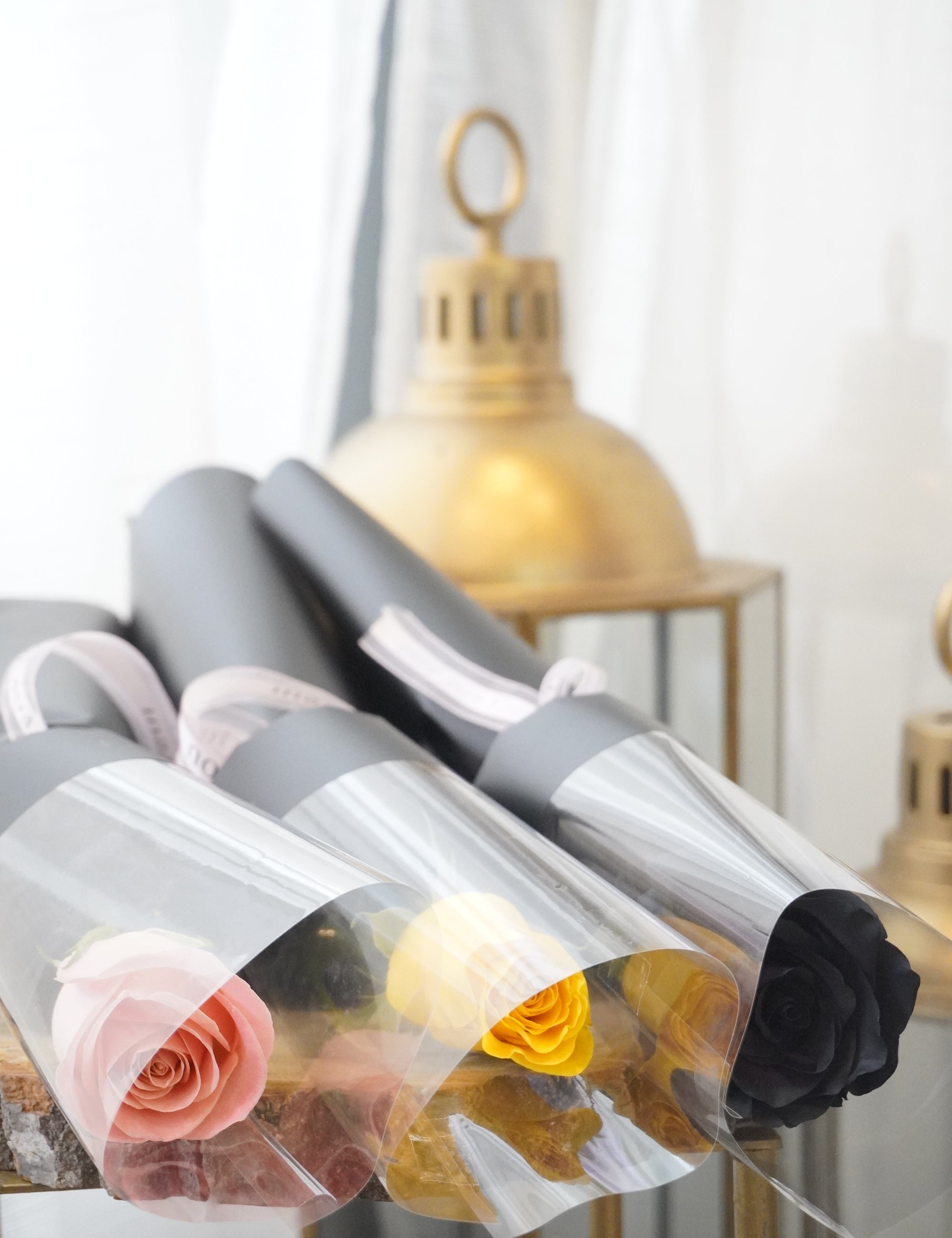 Valentine's Day - Simple Single Rose