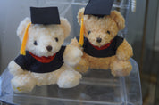Graduation Teddy Bear
