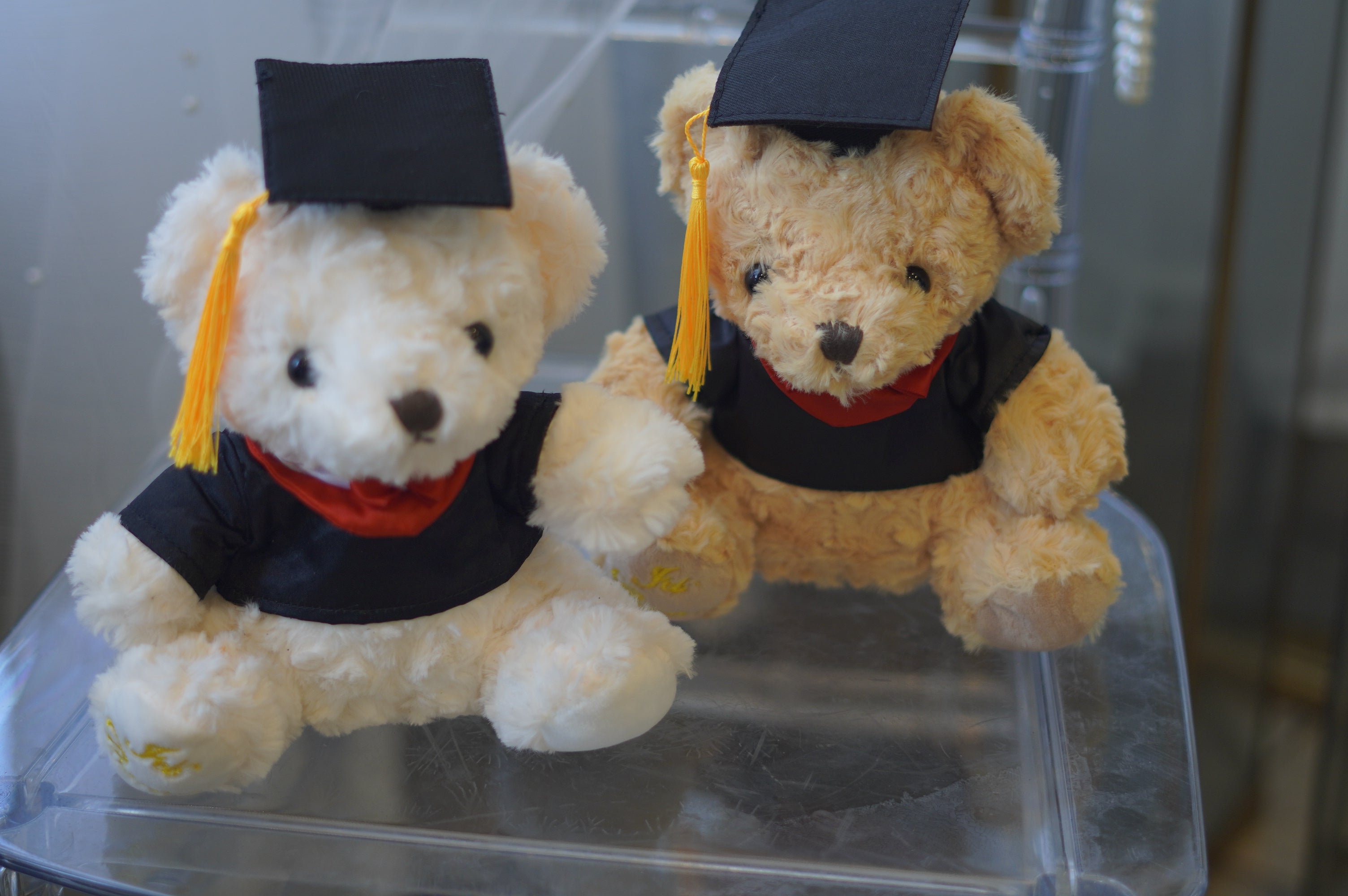 Graduation Teddy Bear