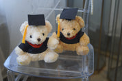 Graduation Teddy Bear
