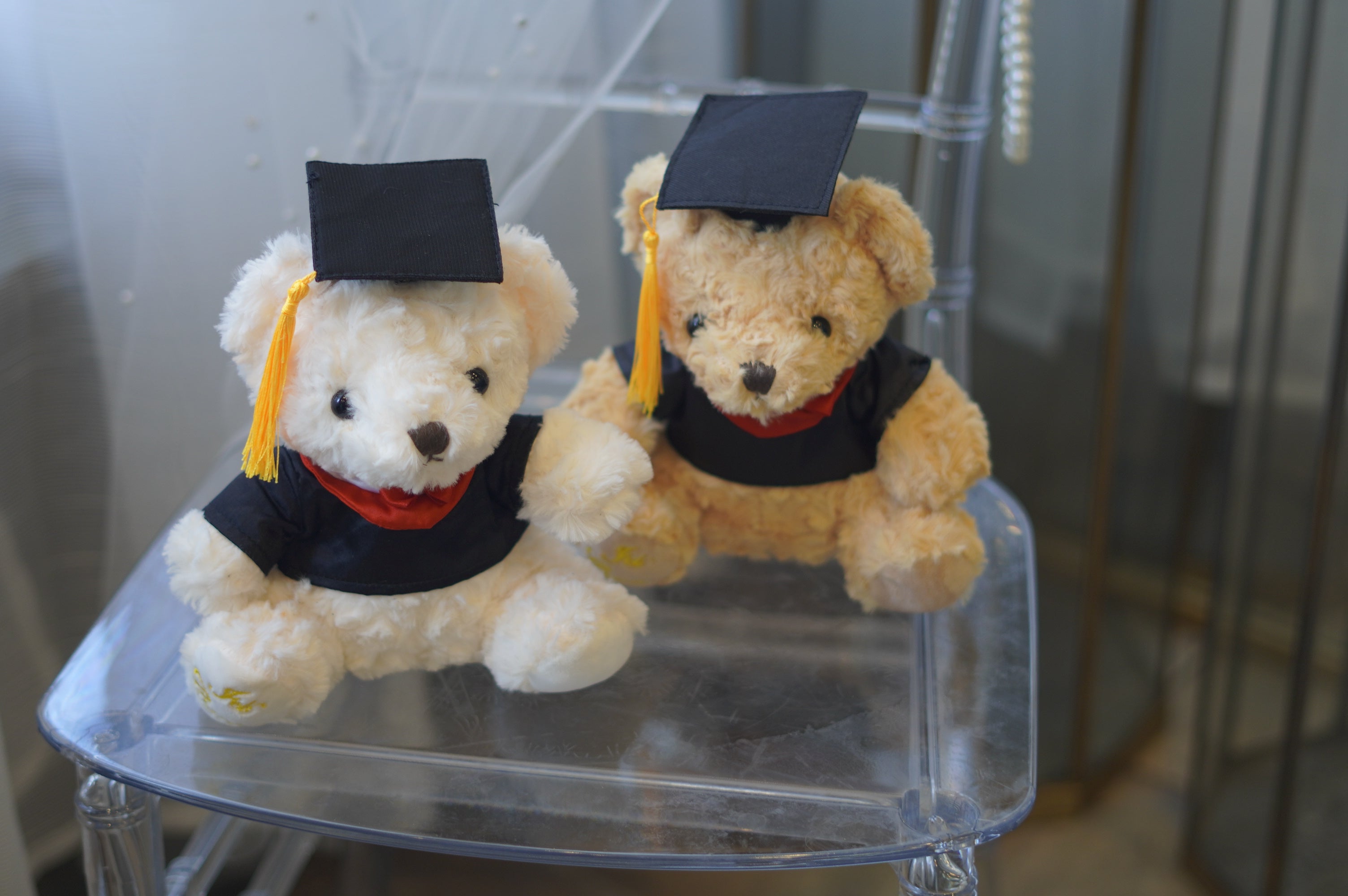 Graduation Teddy Bear