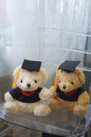 Graduation Teddy Bear
