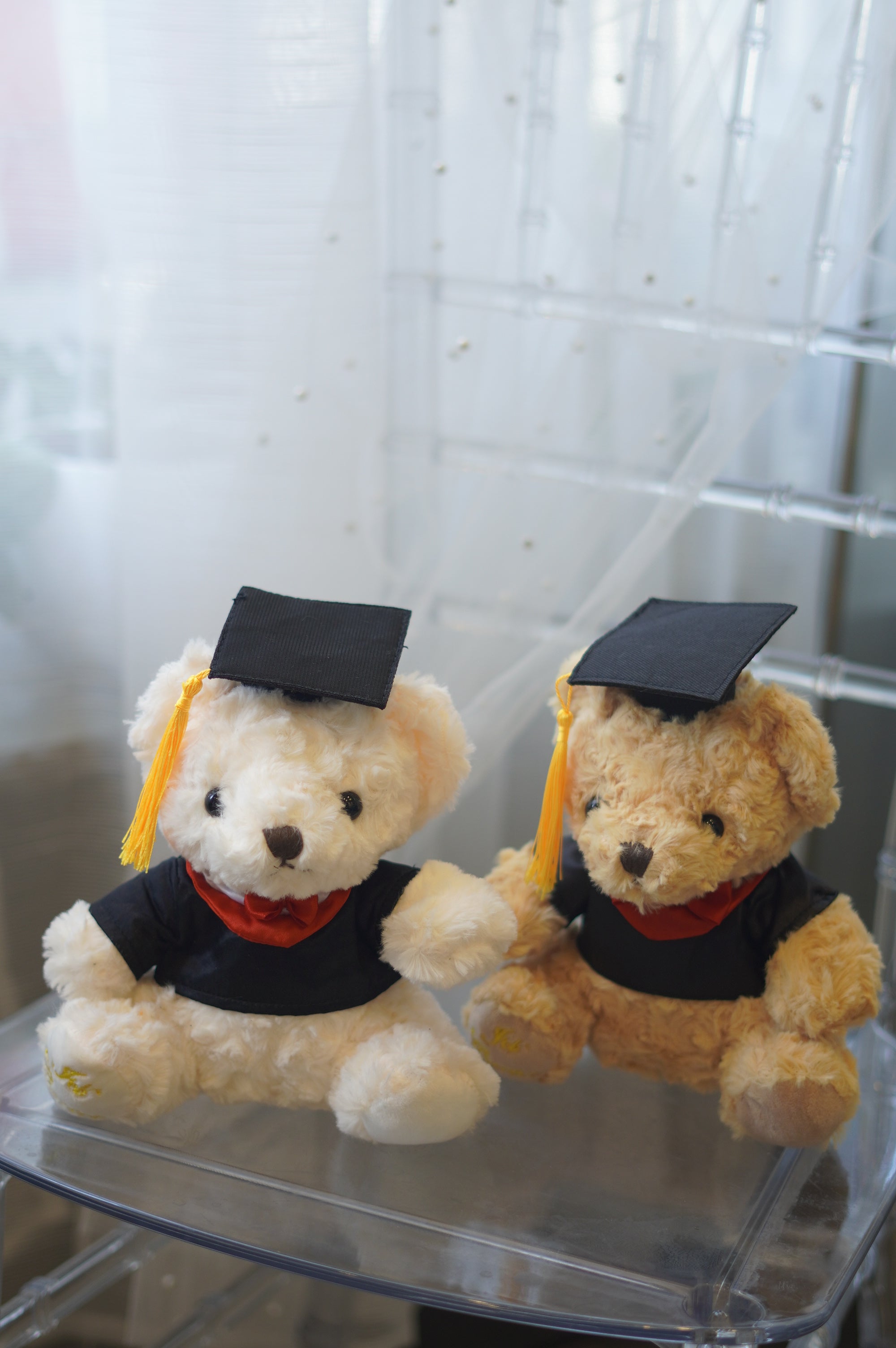 Graduation Teddy Bear