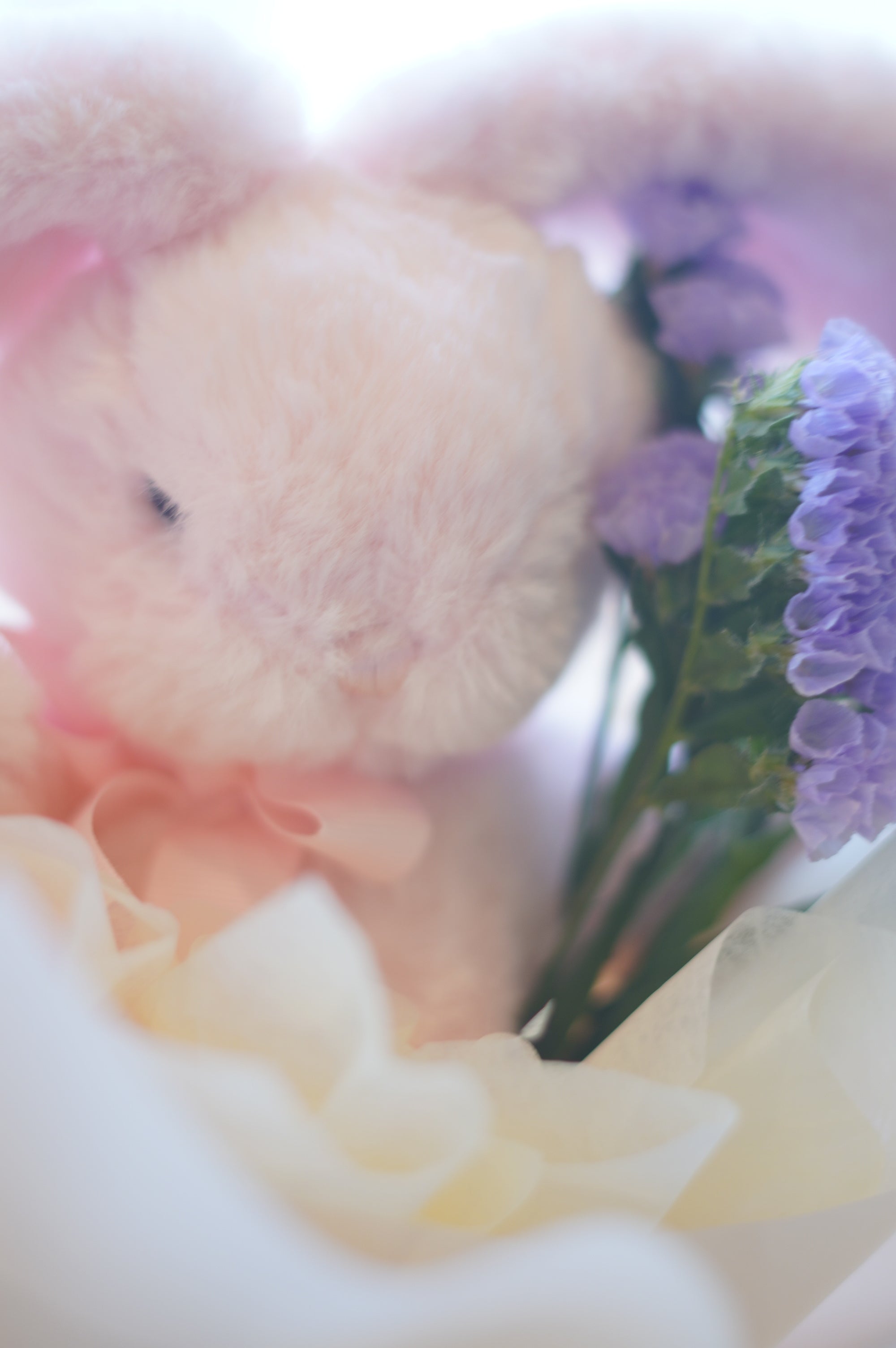 Starlight Bunny