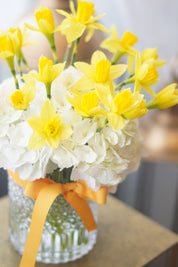 Elegant daffodil arrangement in clear glass vase with natural greenery
