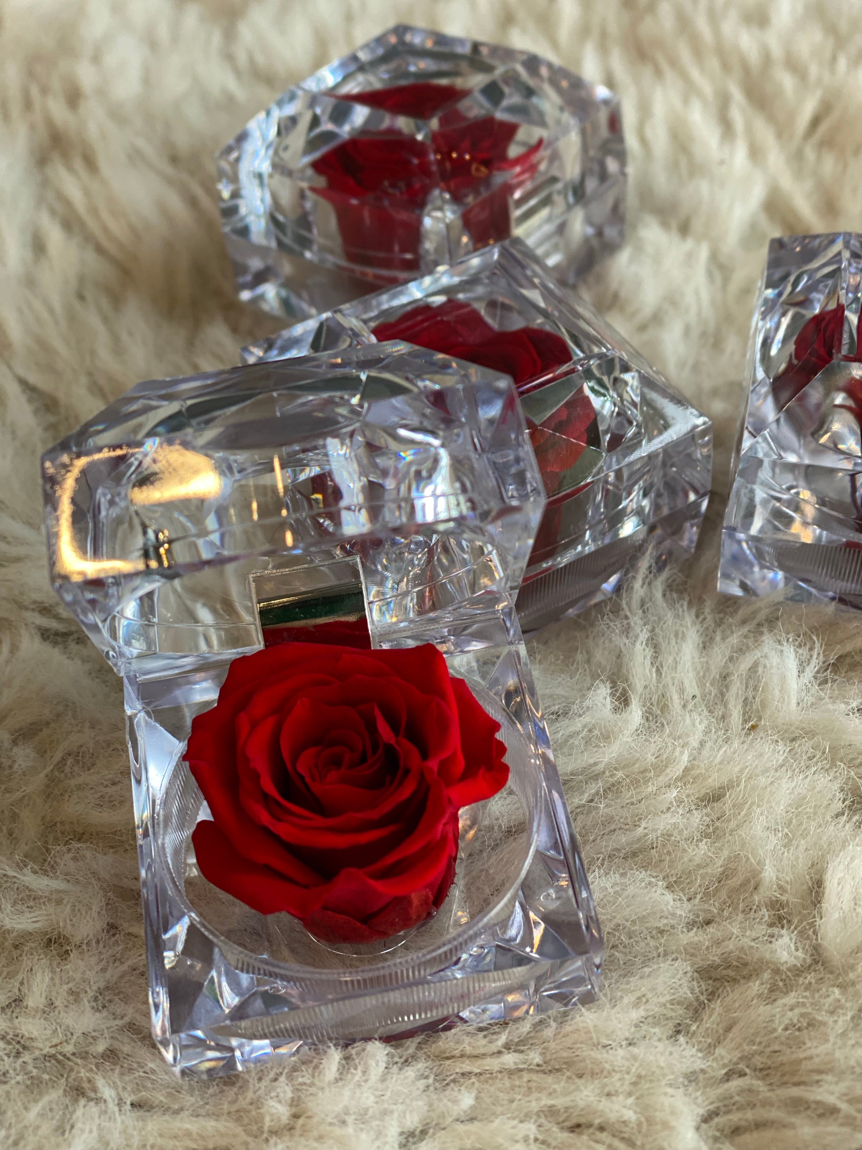 A single red preserved rose showcased inside a luxury faceted crystal acrylic box. This elegant "eternal rose" serves as a sophisticated keepsake gift for Mothe's day 