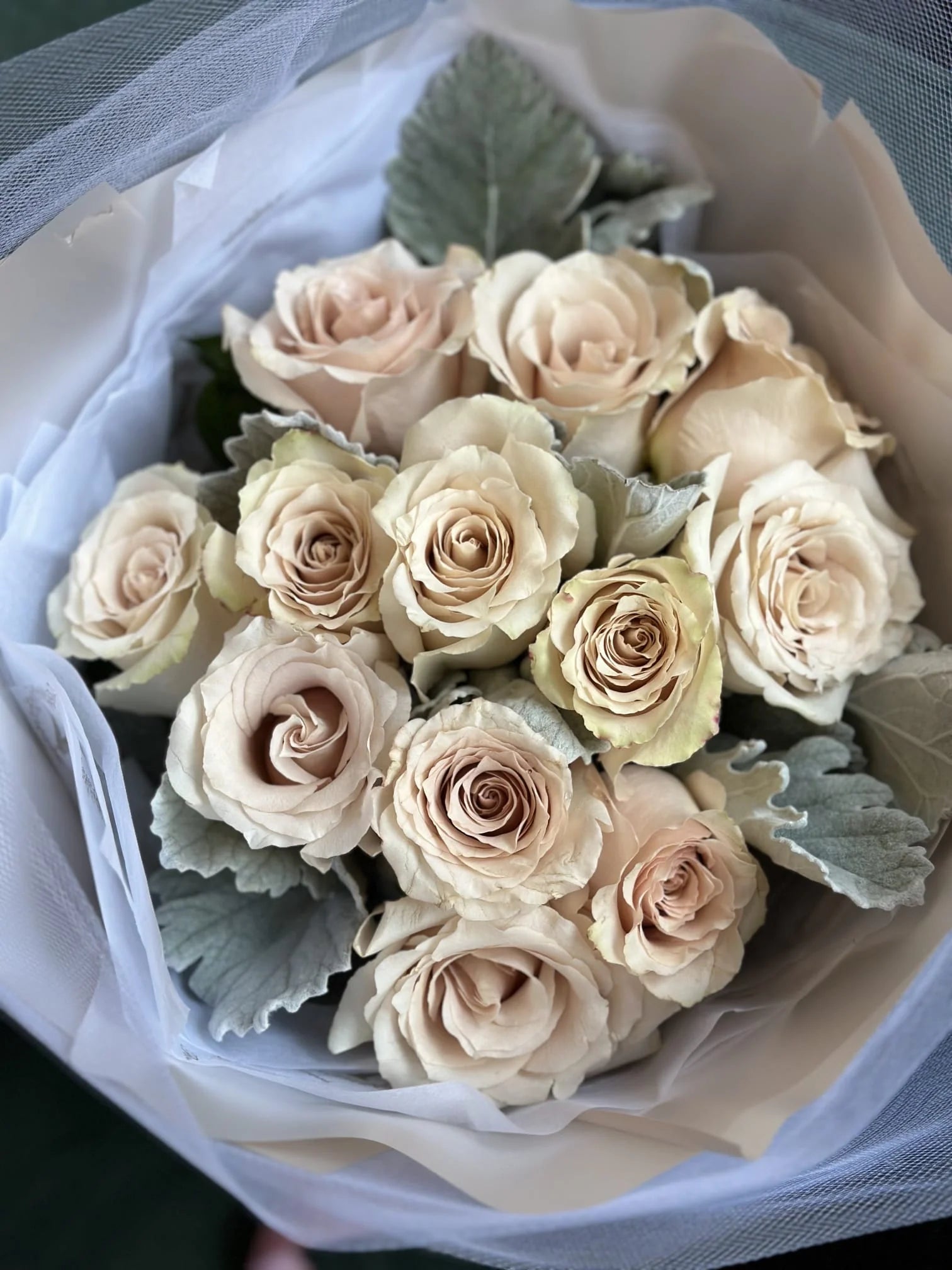 Valentine's Day - Cream Champagne Roses Bouquet