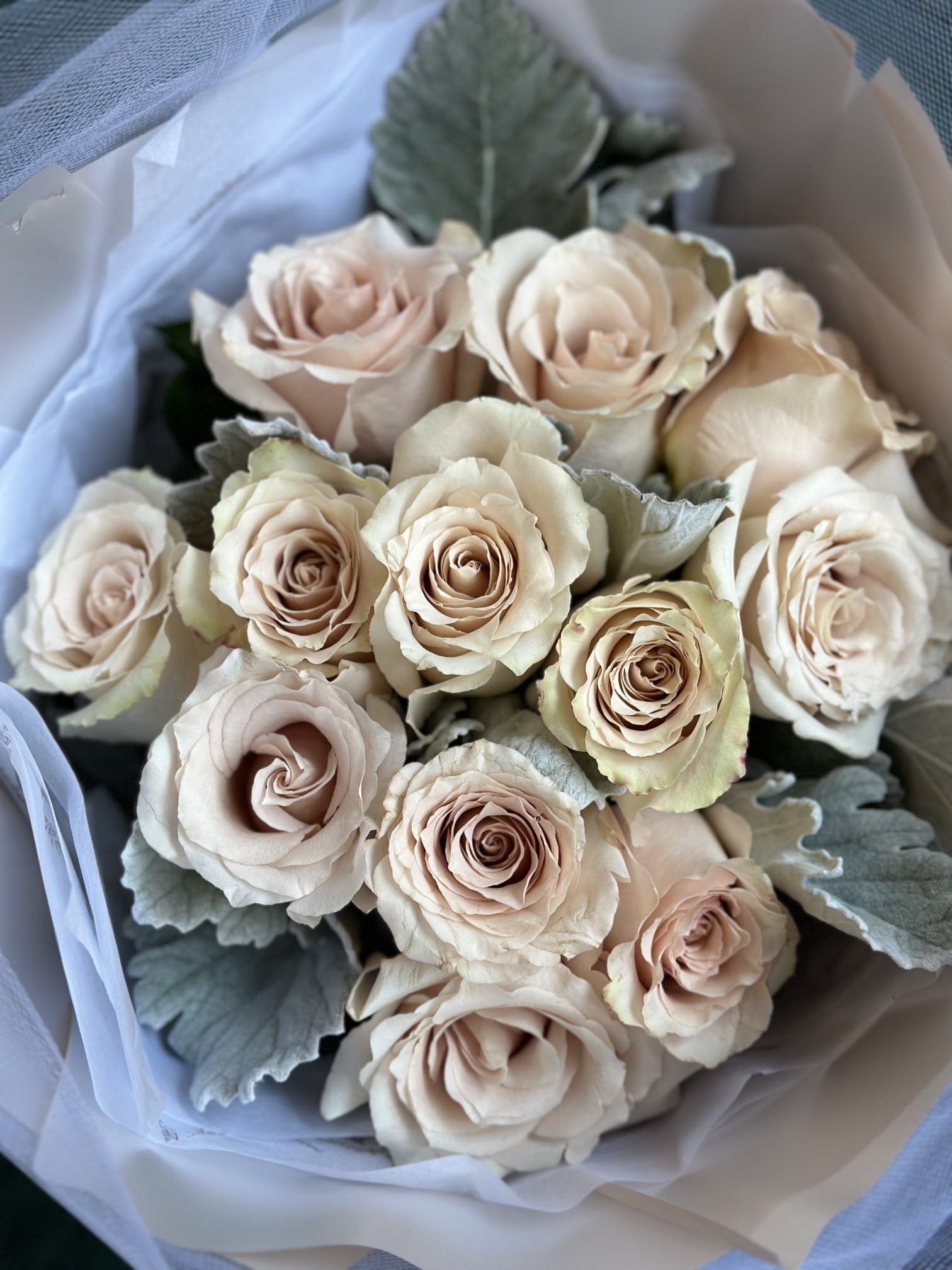 Cream Champagne Roses Bouquet