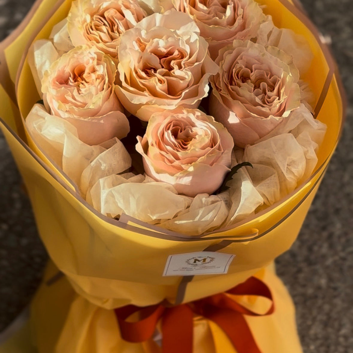 FullSizeRender_743d3510-6f54-4436-aa62-7439deaea873.jpg
