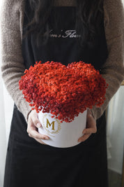 Front view of the arrangement