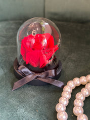 preserved flower in a glass dome