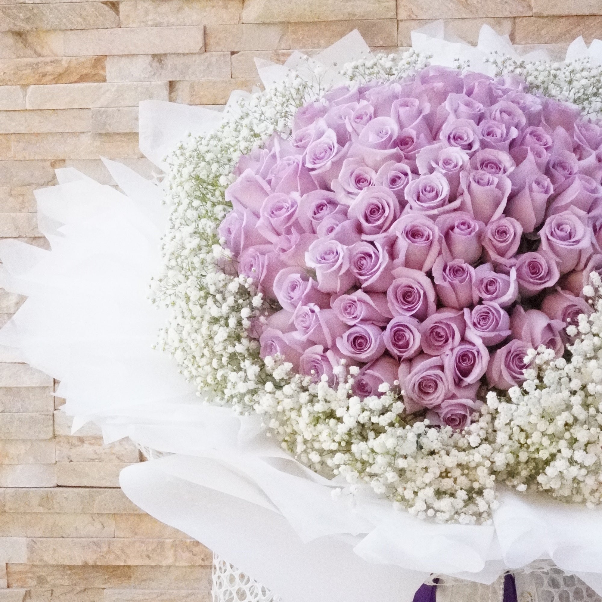 100 Lavender roses