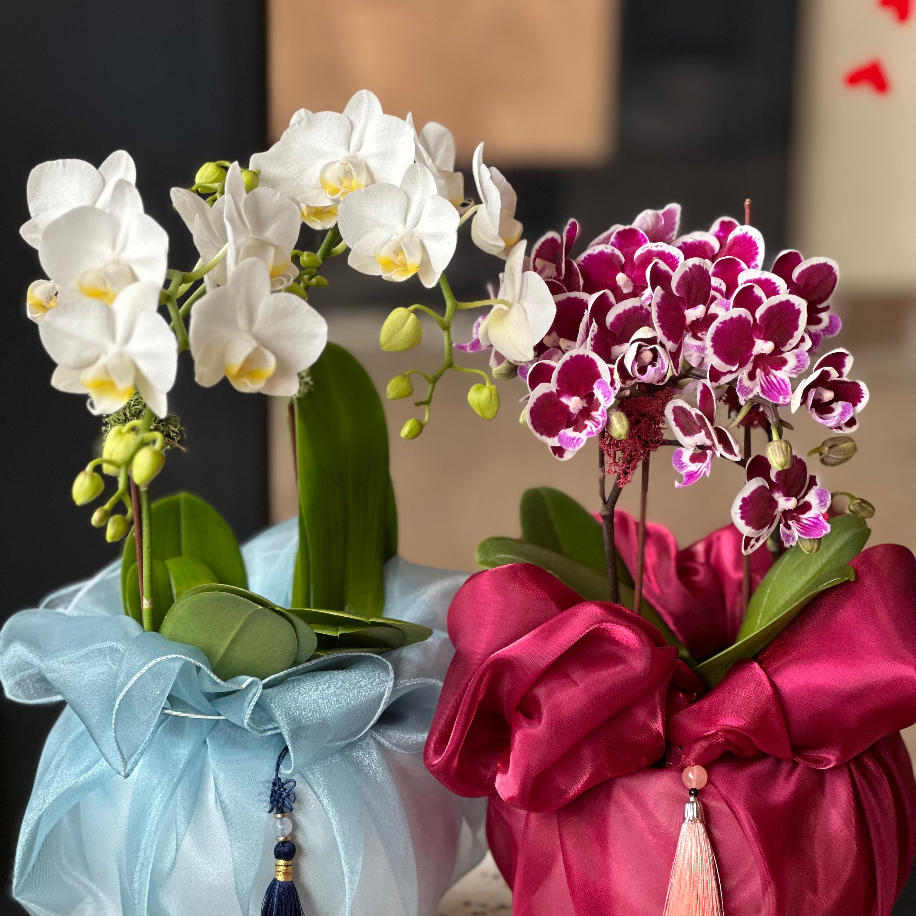 Ideal for premium Mother's Day floral delivery and luxury home styling