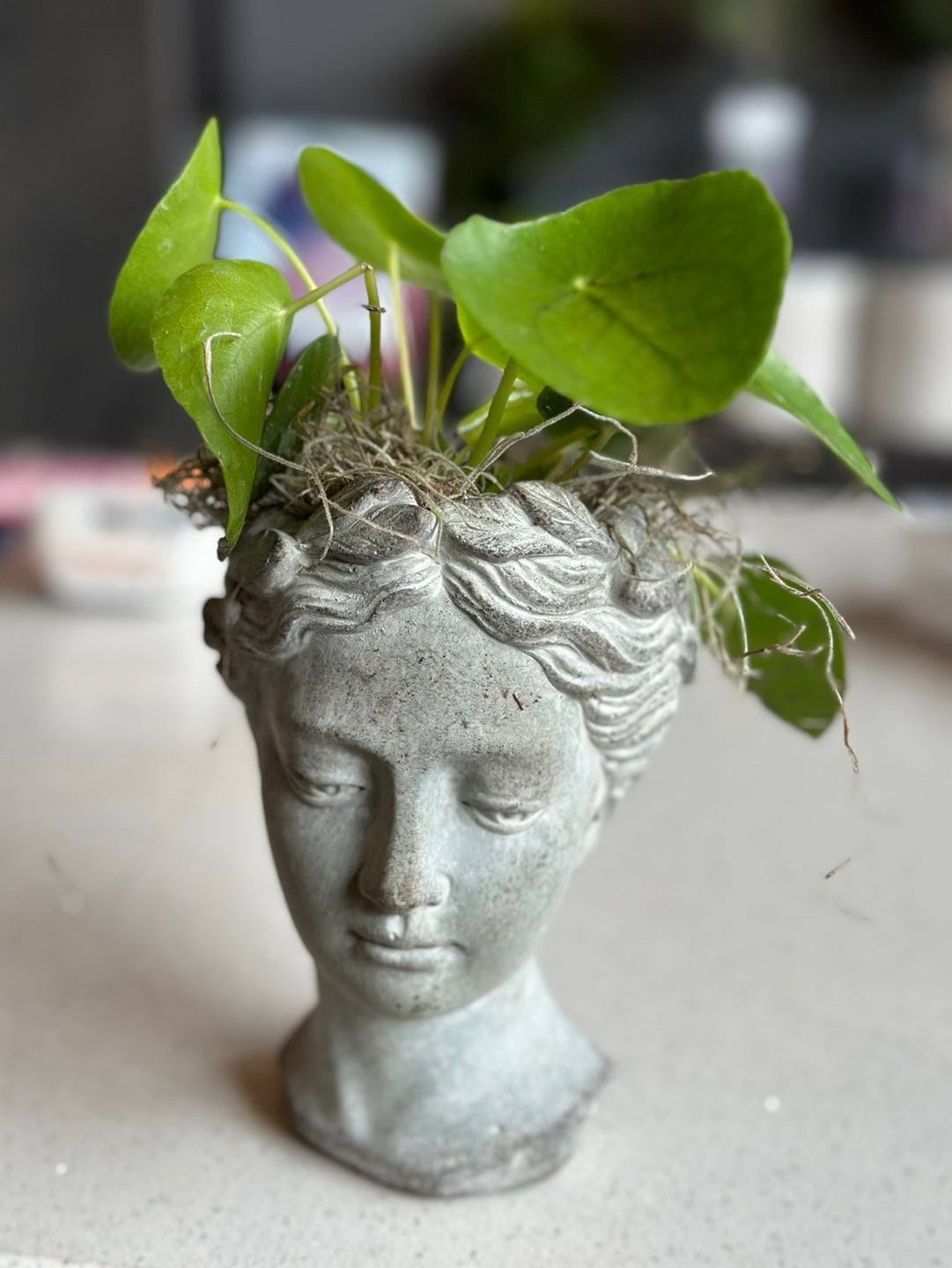 锅中的冷水花