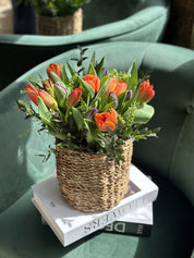 Mixed Tulips in Basket