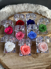 Multi coloured preserved roses in crystal acrylic gift box. Premium eternal floral collection for Mother's day gift by Moon's Flowers/delivery in GTA