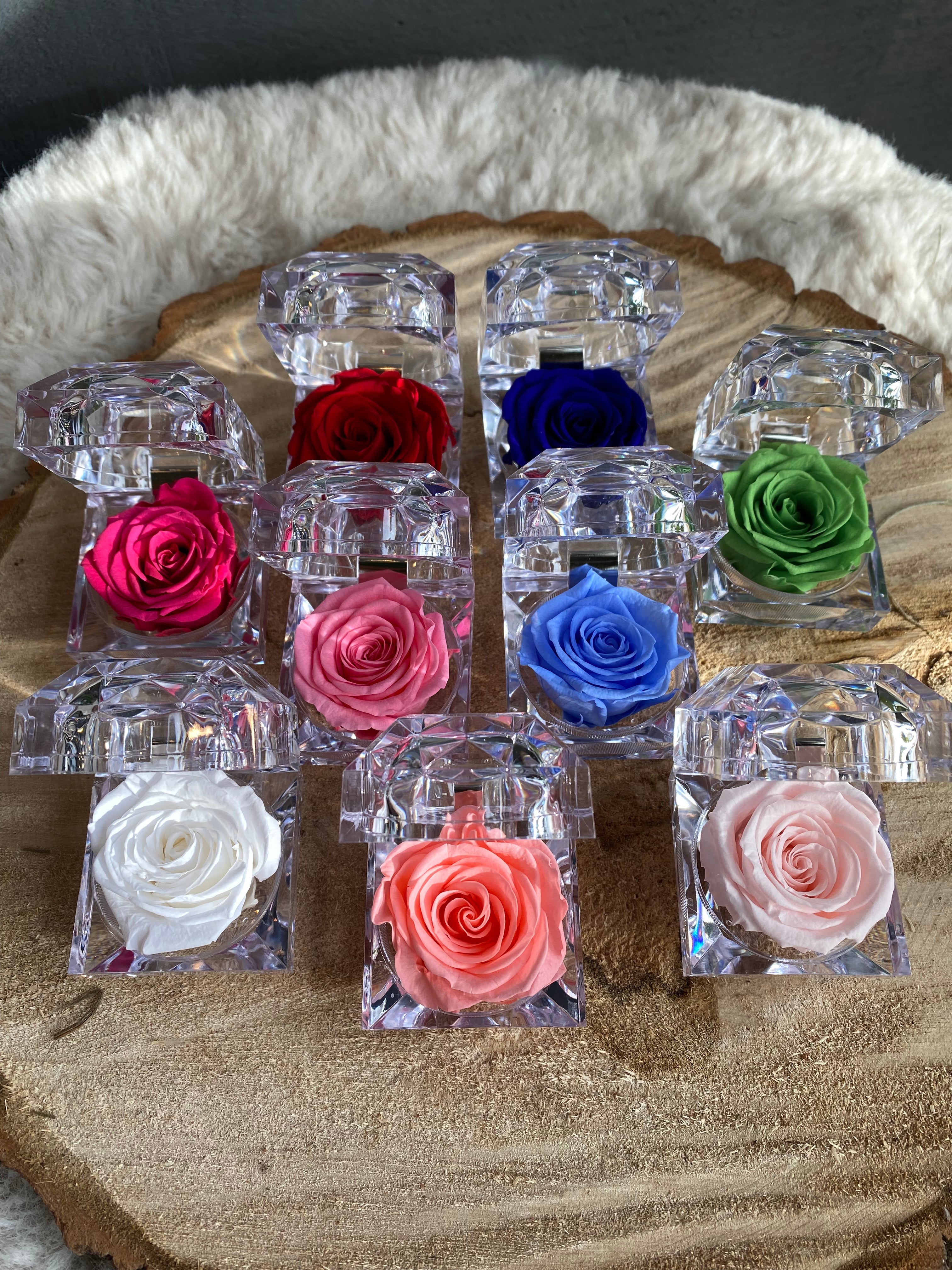 Multi coloured preserved roses in crystal acrylic gift box. Premium eternal floral collection for Mother's day gift by Moon's Flowers/delivery in GTA
