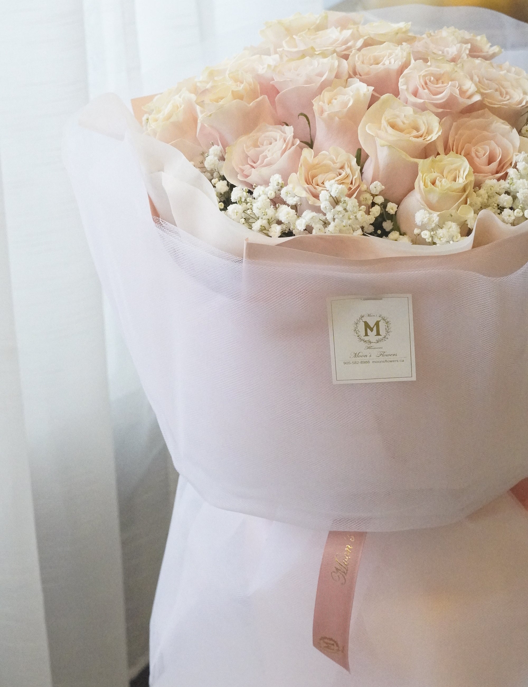 Bouquet of light pink roses wrapped in white paper with a pink ribbon on a white background