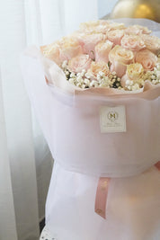 Bouquet of light pink roses wrapped in white paper with a pink ribbon on a white background
