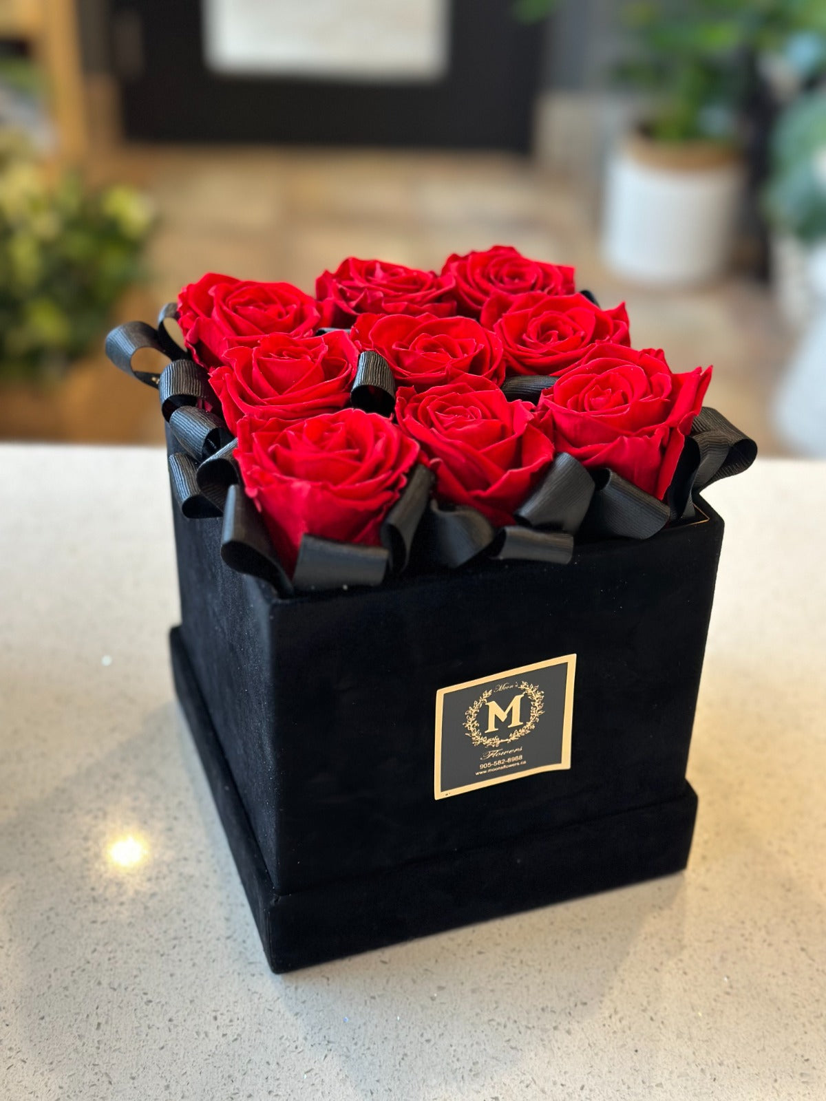 Valentine's Day - Preserved Rose in Velvet Box - 9