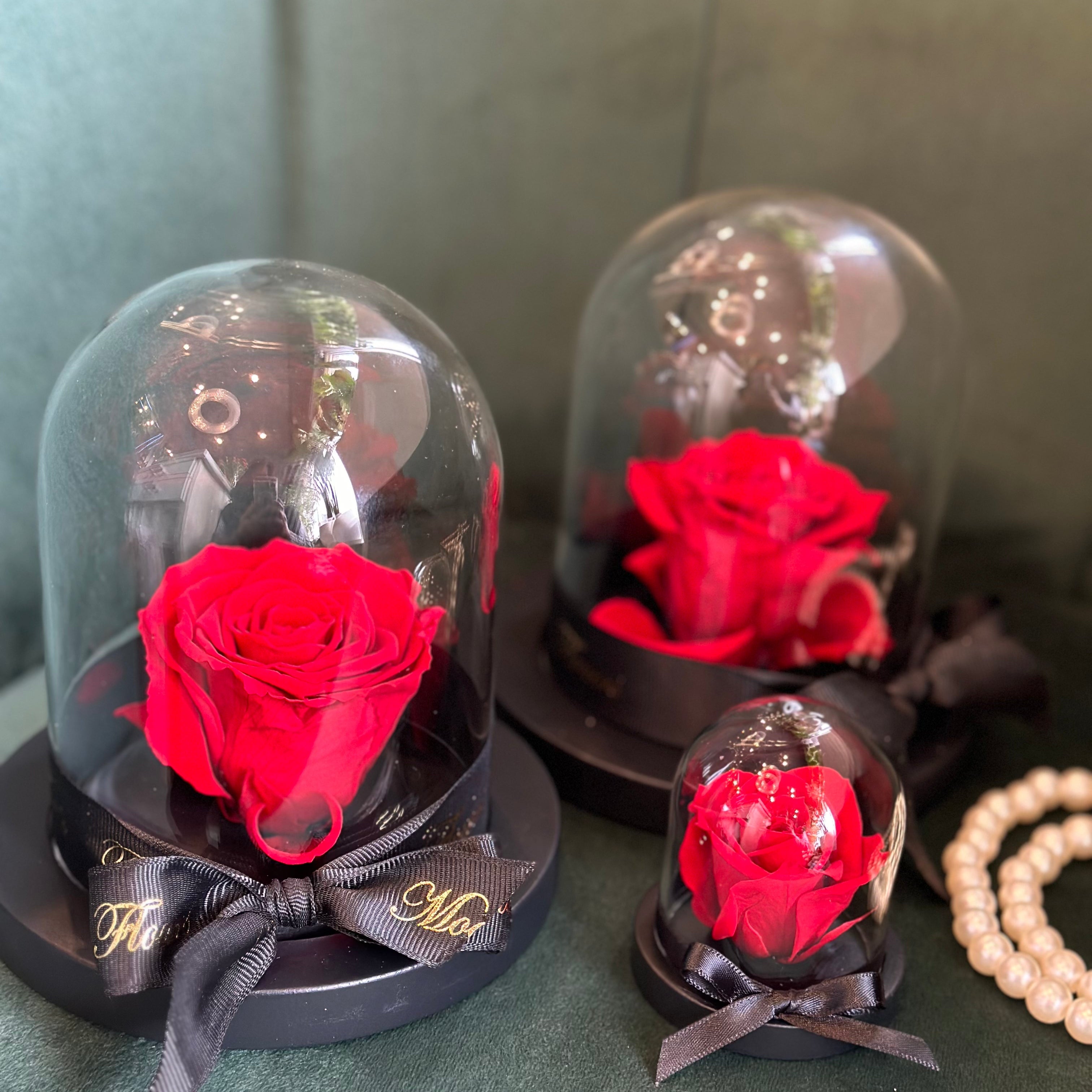 This image compares the sizes of Medium and small side by side of the Preserved Flower in Glass Dome