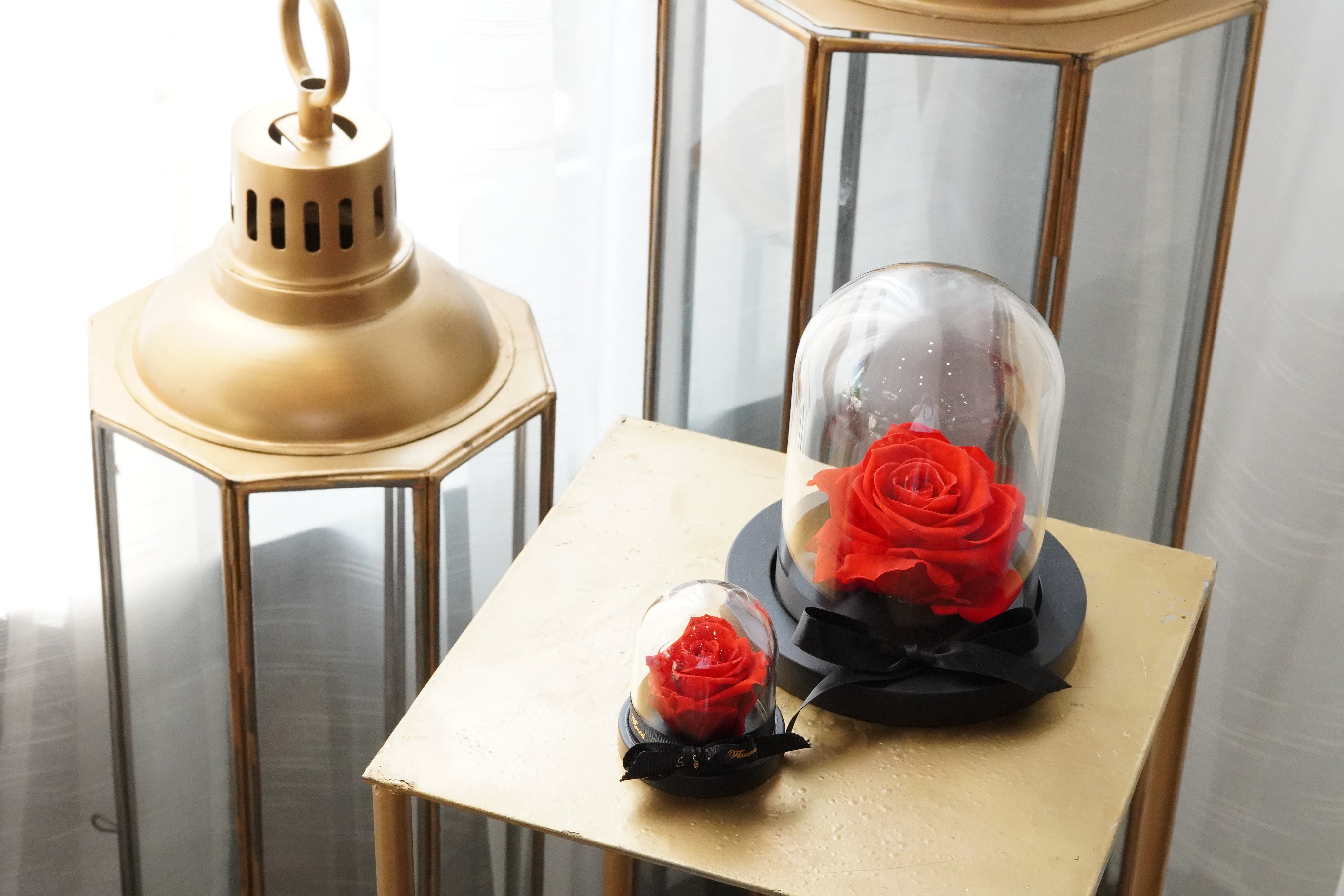 The Preserved Flower in a Glass Dome is a beautiful red preserved rose that lasts up to a year in a glass dome wrapped with a simple black ribbon. 