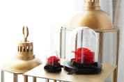 This image displays both sizes of the Preserved Flower in a Glass Dome, medium and small. It is the perfect gift for your loved ones, Valentine, and more!