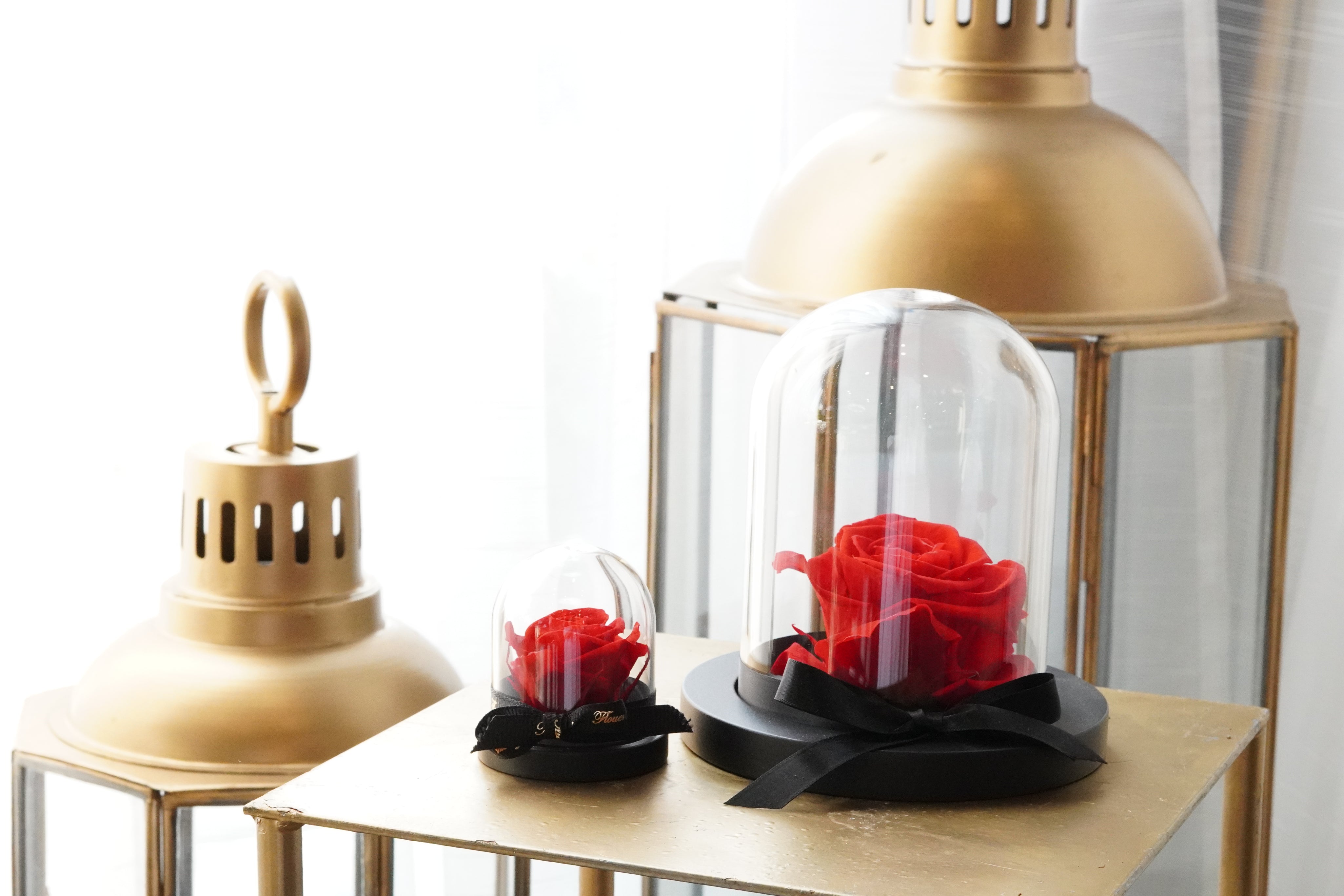 This image displays both sizes of the Preserved Flower in a Glass Dome, medium and small. It is the perfect gift for your loved ones, Valentine, and more!