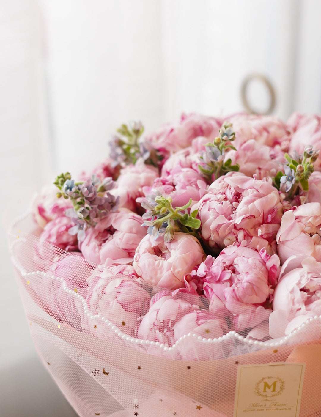 Sarah_Bernhardt_Peonies2.jpg