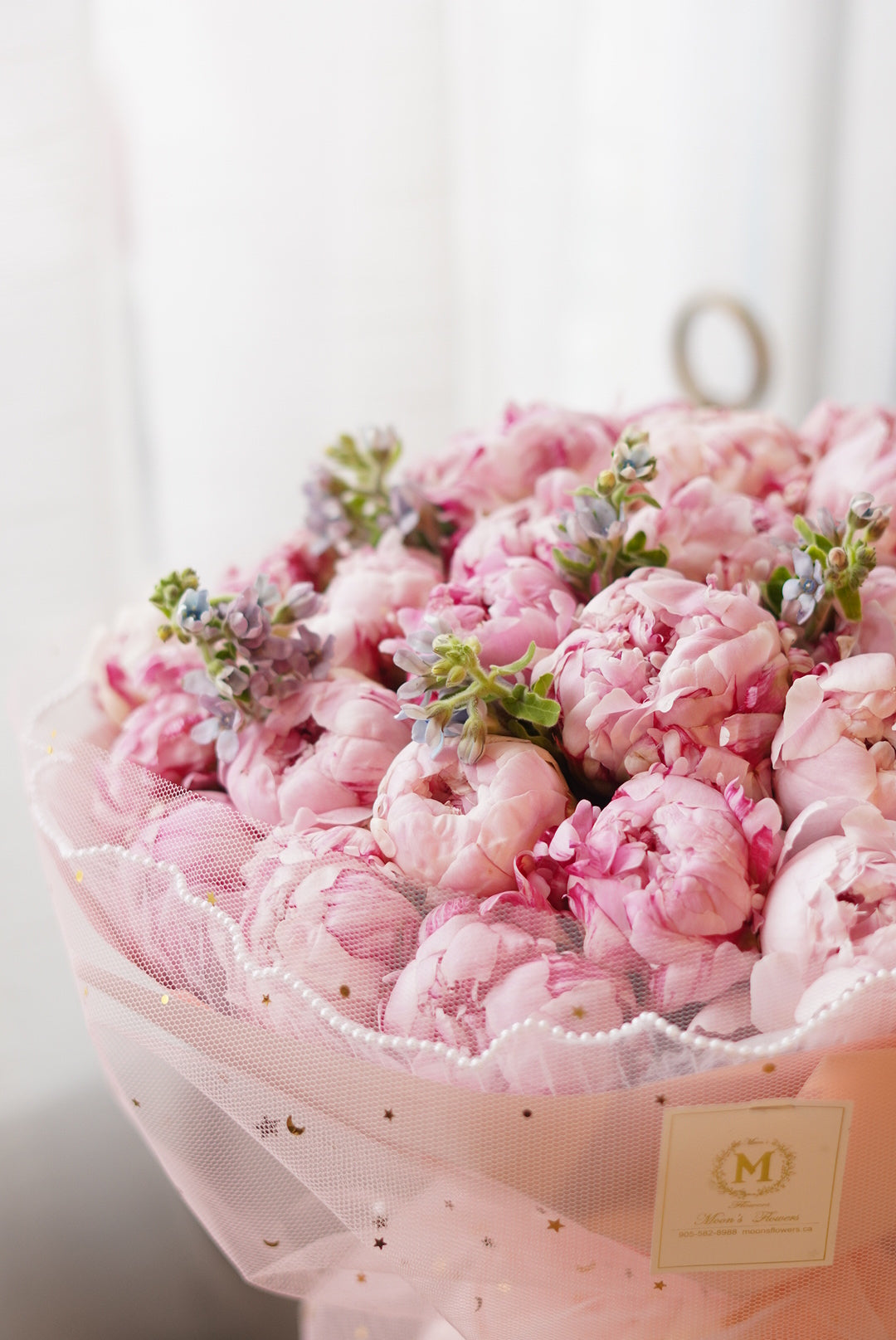 Sarah Bernhardt Peonies