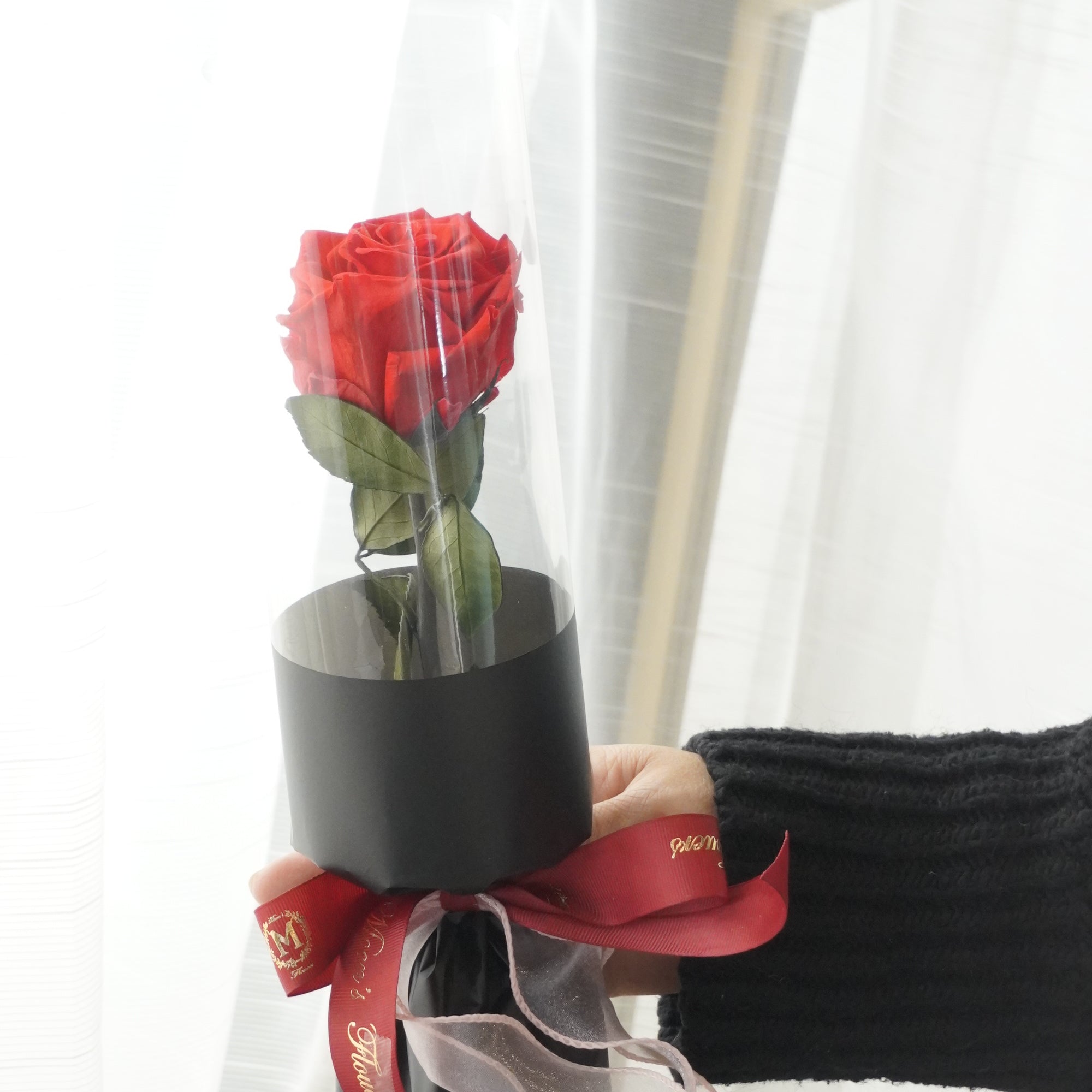 Simple_Red_Preserved_Rose.jpg