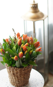 Vibrant tulip arrangement with pussy willow accent in a rustic woven basket