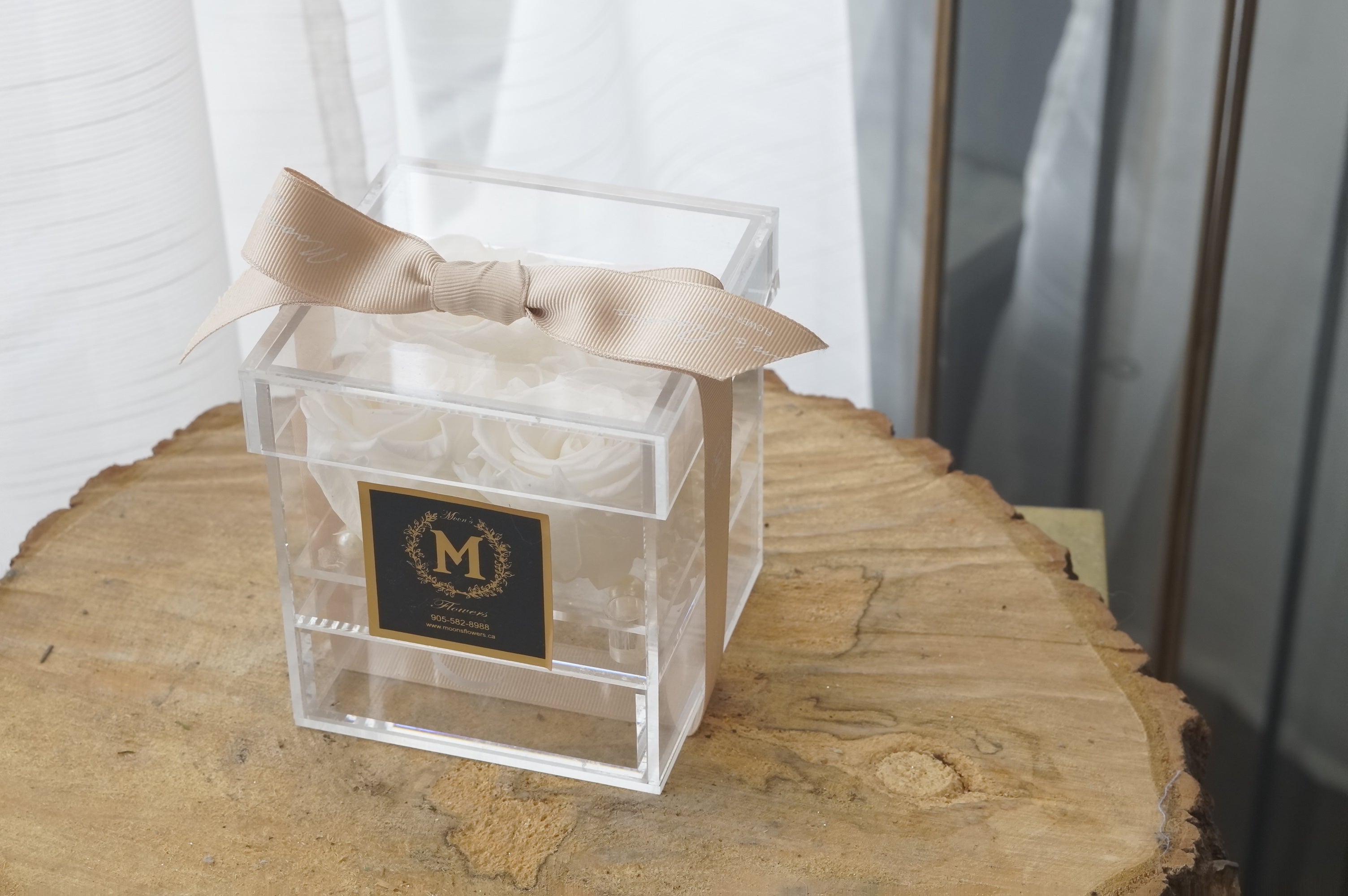 Close up and focal image of the White Preserved Rose in Acrylic Box. Contrasted with a Moons Flowers signature sticker and a beige ribbon.