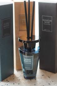 Ocean breeze / Guaiacum wood / Amber & Oud