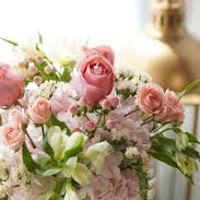 images_9.jpg