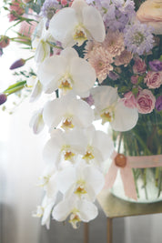 A large, elegant flower bouquet in a clear glass vase resting on an acrylic stand, filled with purple orchids, pink dahlias, peach roses, and mixed greenery against a sheer white backdrop.