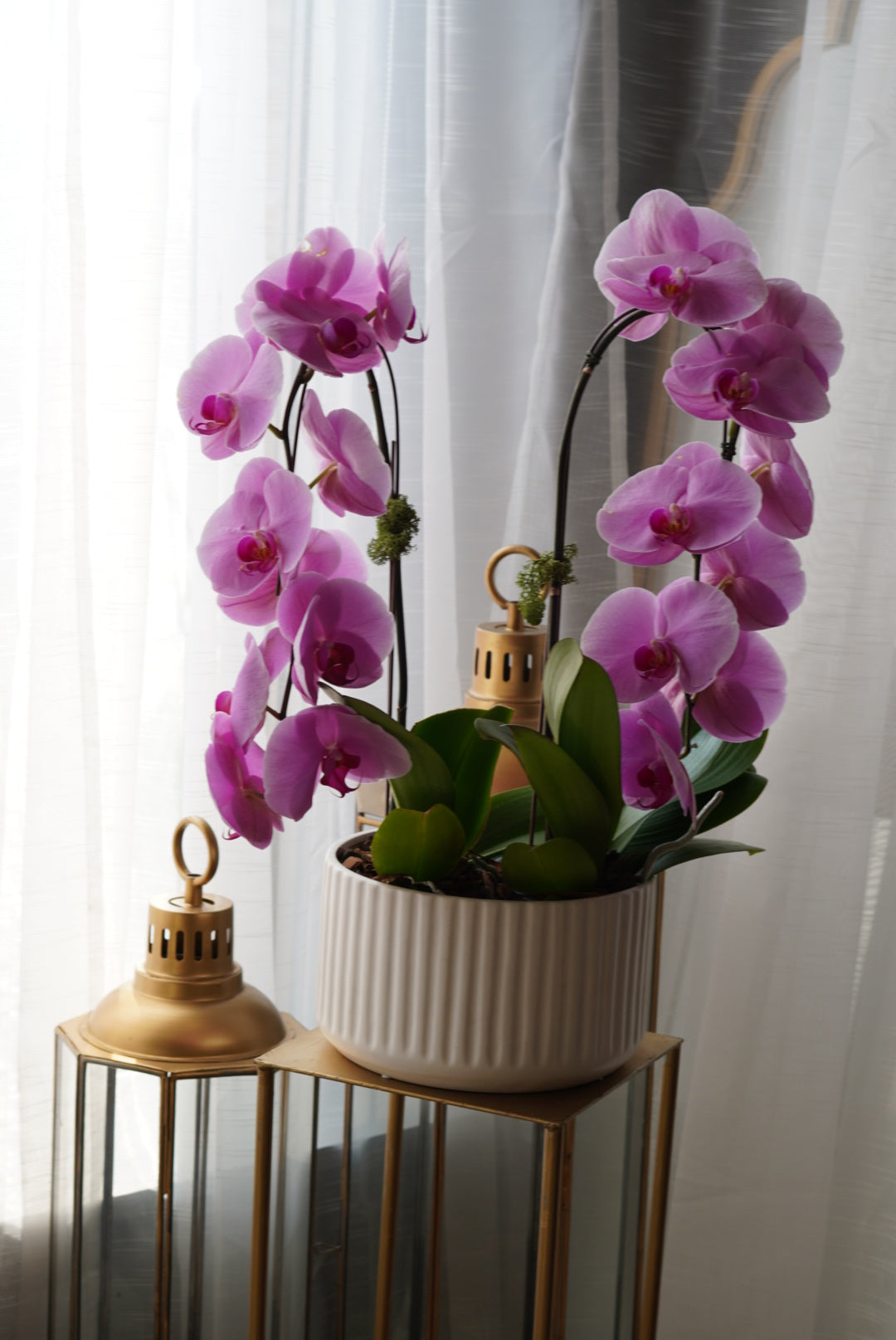 Stunning pink orchid arrangement ,  a long lasting gift for Mother's Day.