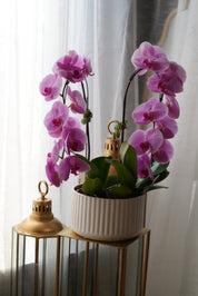 Stunning pink orchid arrangement ,  a long lasting gift for Mother's Day.