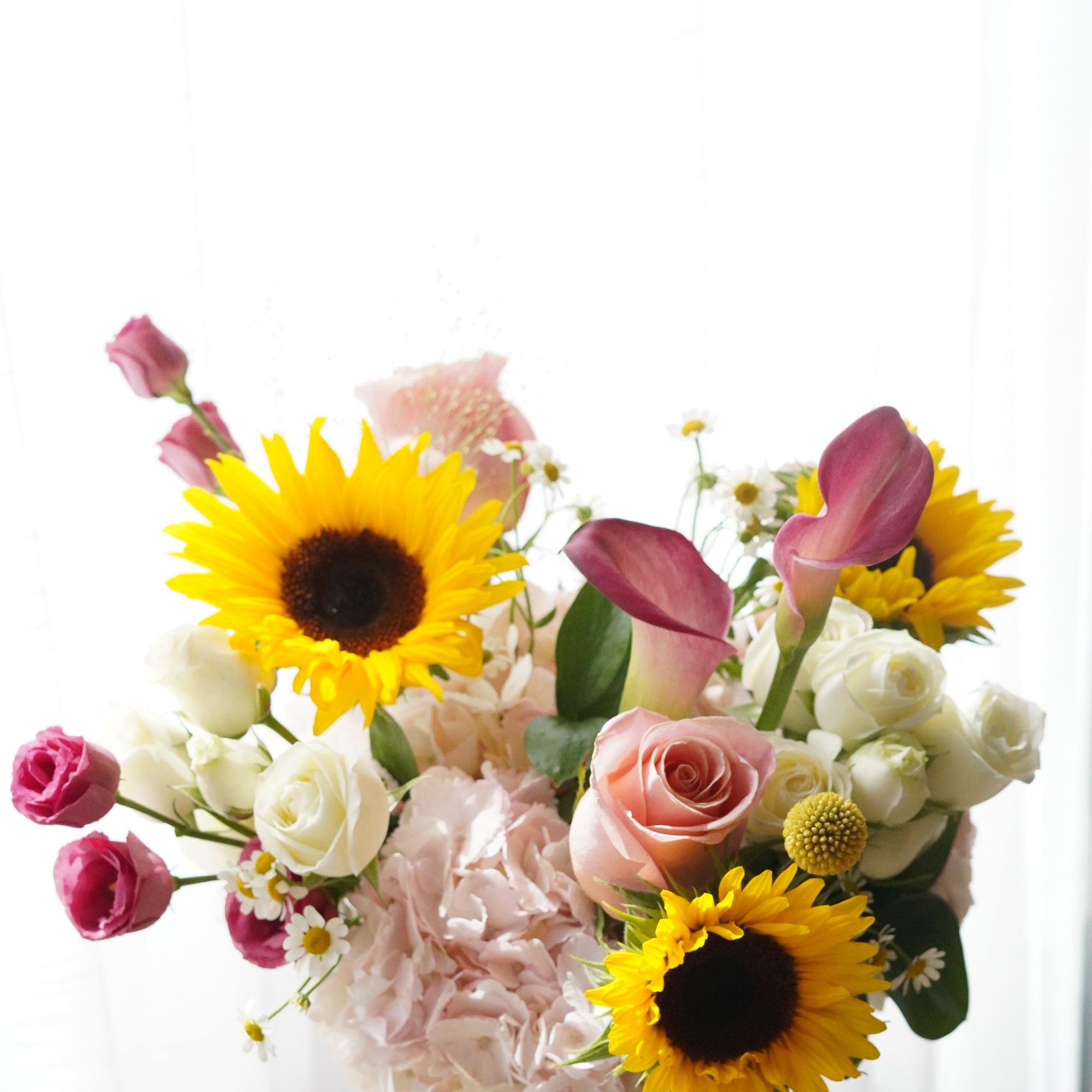 rn-image_picker_lib_temp_5181f146-bd3d-40d3-a04e-4c1760c62d21.jpg