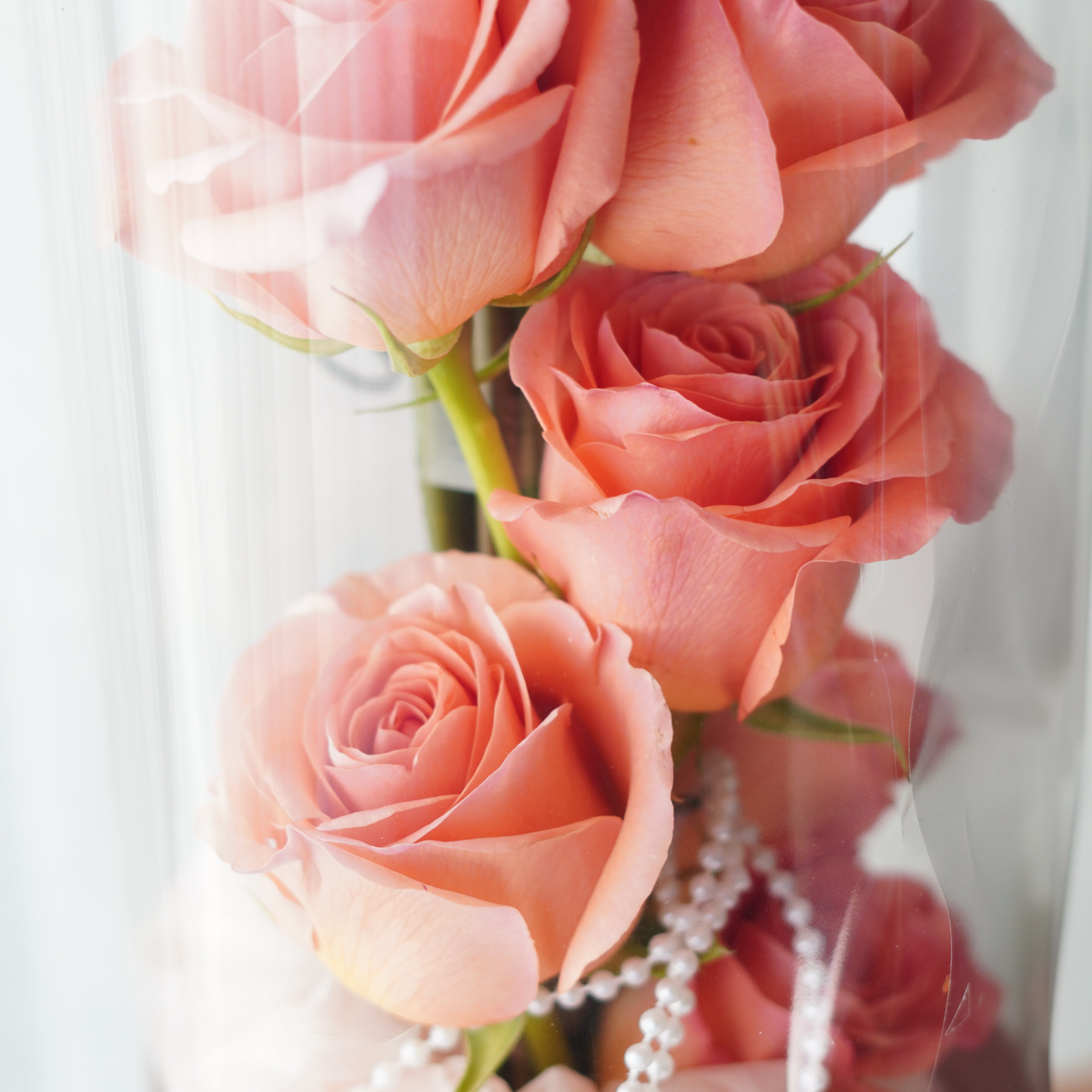 tanghulu rose bouquet close-up with vertically arranged roses inside clear acrylic wrap with pearl detail